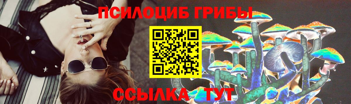 Галлюциногенные грибы GOLDEN TEACHER  Вход с VPN  Тосно 