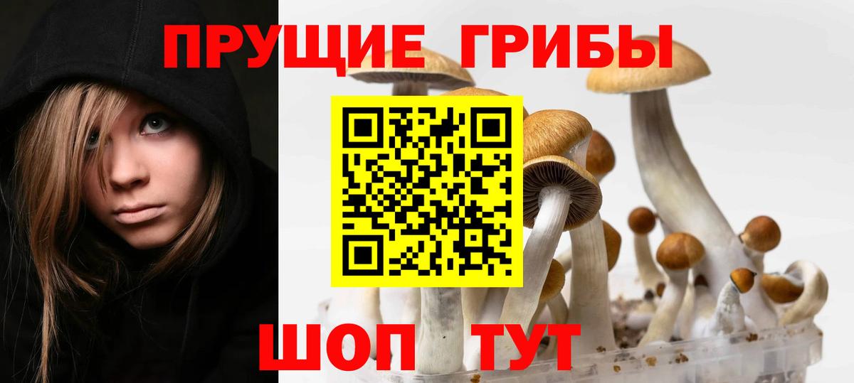 Псилоцибиновые грибы GOLDEN TEACHER Тосно